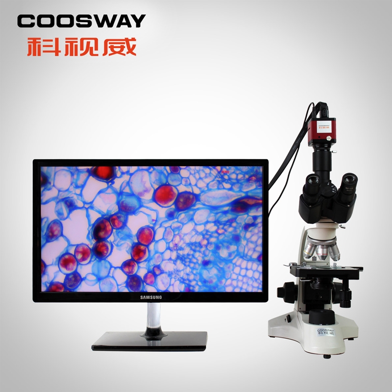 深圳市午夜视频福利光學儀器有（yǒu）限公司