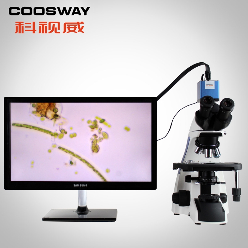 深（shēn）圳市午夜视频福利光（guāng）學儀器有限公司（sī）