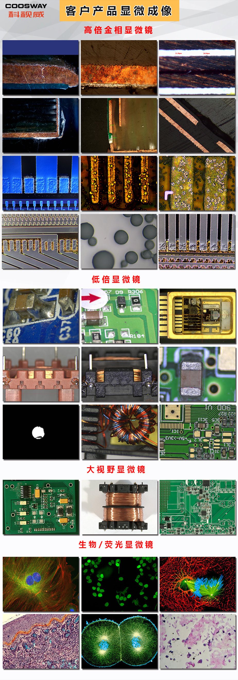 顯（xiǎn）微鏡成像-925.jpg